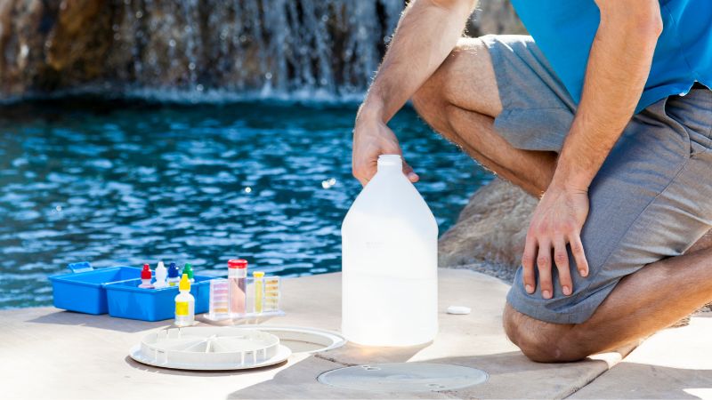 algues piscine que faire