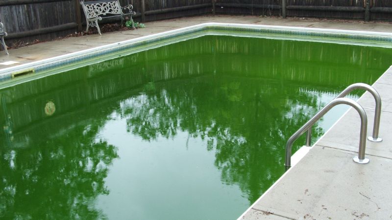 comment rattraper une piscine verte en moins de 48h